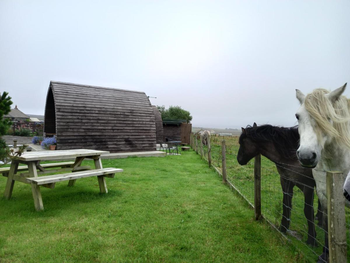 Hillside Camping Pods And Shepherd'S Hut Wick  Dış mekan fotoğraf